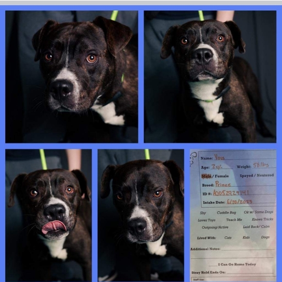 Hello! Thank you for visiting our closet! - Picture 3 of 10